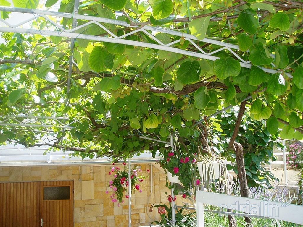 Kiwi Apartments Gornji Karin Dış mekan fotoğraf