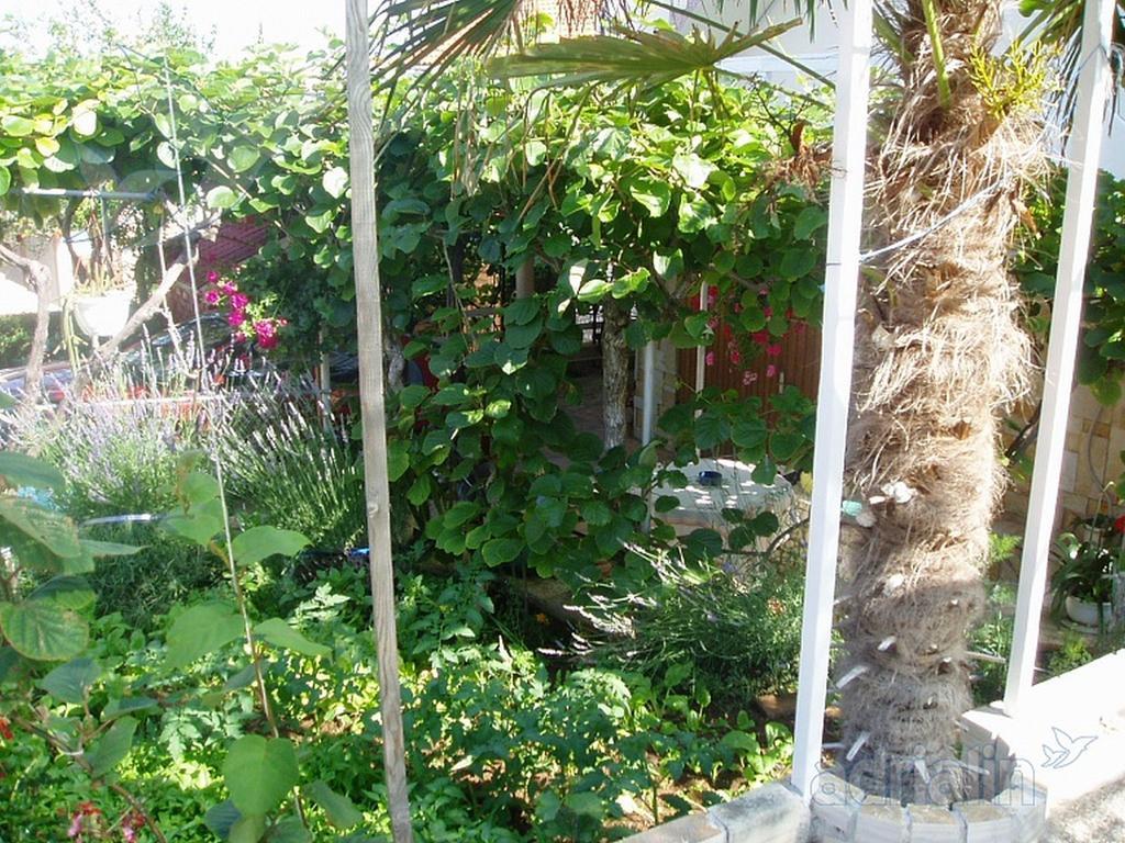 Kiwi Apartments Gornji Karin Dış mekan fotoğraf